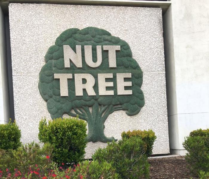 Image shows Nut Tree tree logo