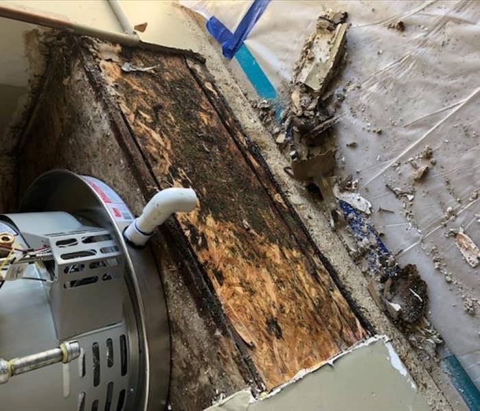 This photo shows a water heater with sitting on damaged wood